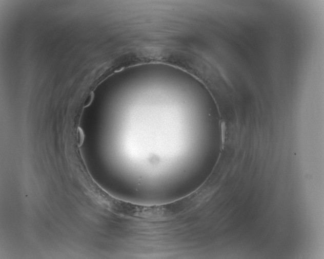 X0000083041201200702021143