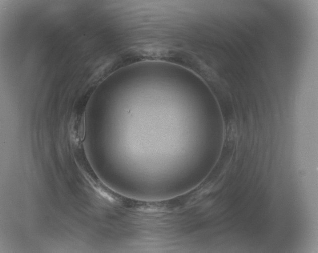 X0000083041202200702021143