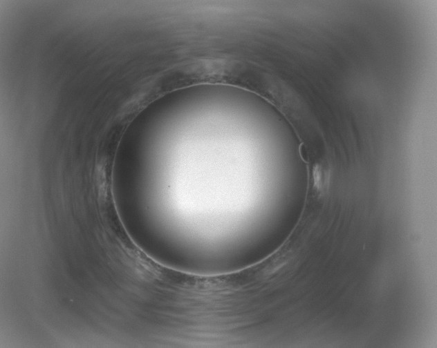 X0000083041203200702021143