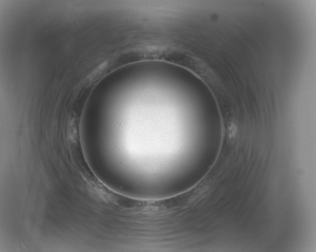 X0000083041204200702021143