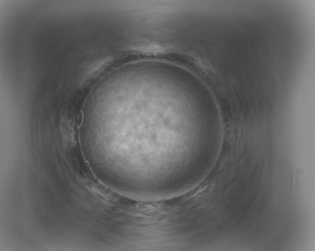 X0000083041205200702021143