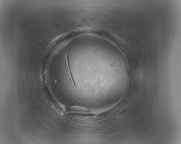 X0000083041206200702021143