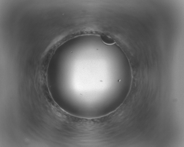 X0000083041207200702021143