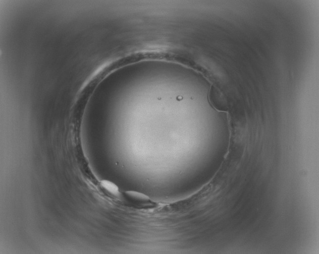 X0000083041208200702021143