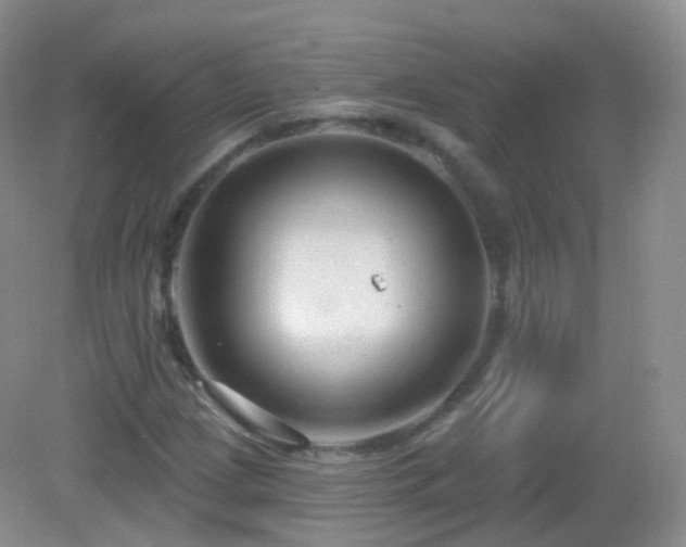 X0000083041209200702021143