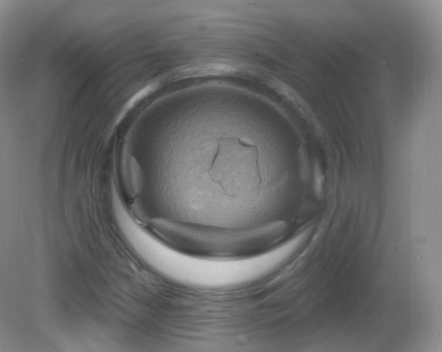 X0000083041210200702021143