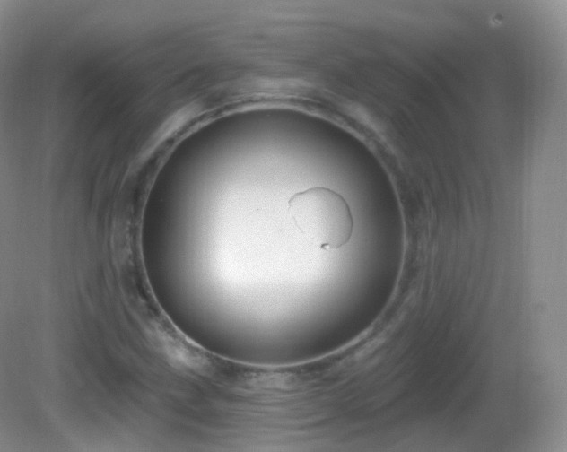 X0000083041211200702021143