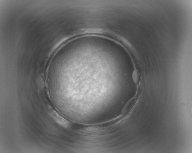 X0000083041212200702021143