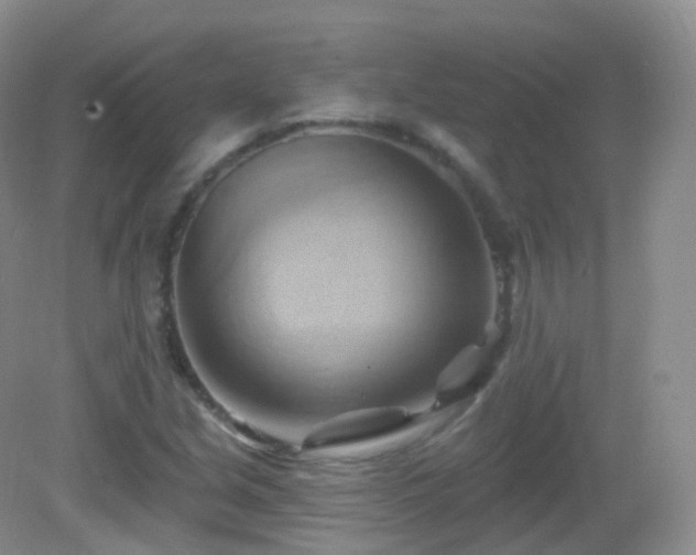 X0000083041213200702021143