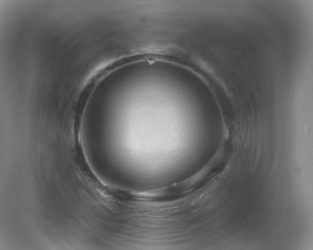 X0000083041214200702021143