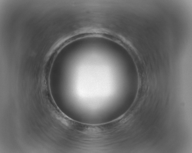 X0000083041215200702021143