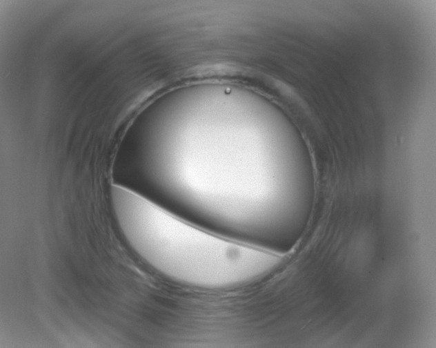 X0000083041217200702021143