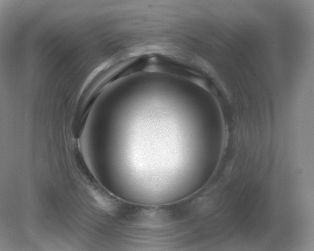 X0000083041218200702021143