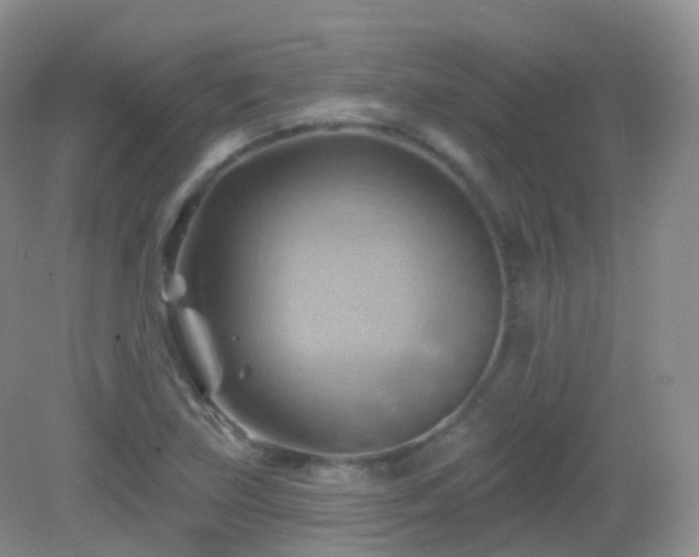 X0000083041219200702021143