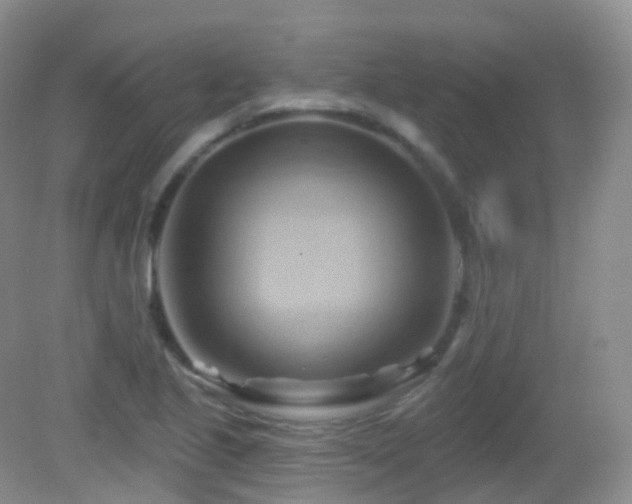 X0000083041221200702021143