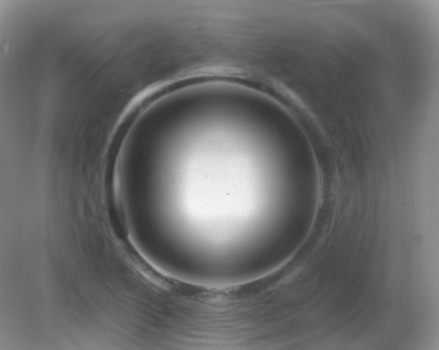 X0000083041222200702021143