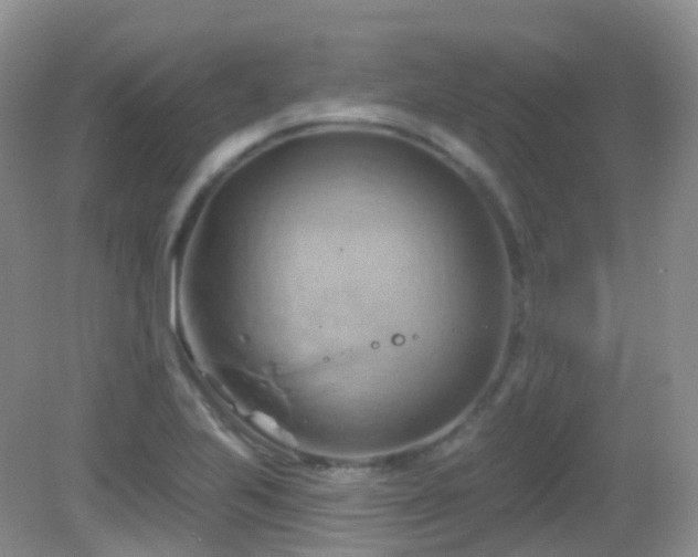 X0000083041223200702021143