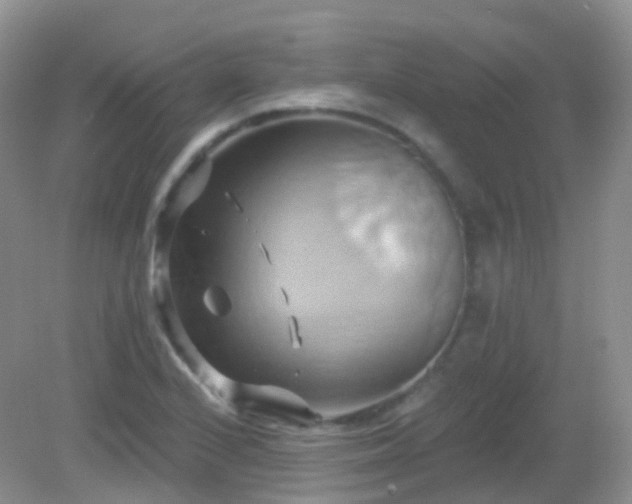 X0000083041224200702021143