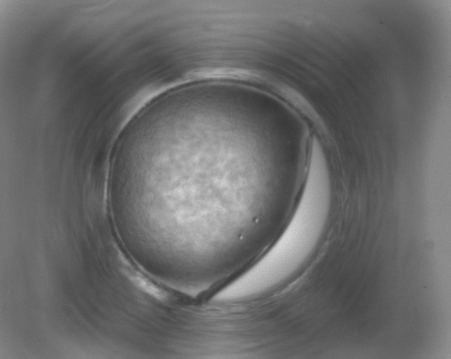 X0000083041228200702021143