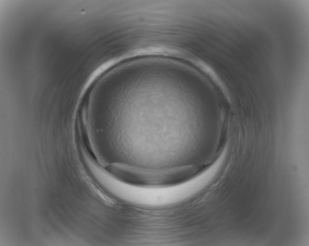 X0000083041230200702021143