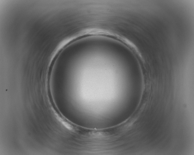 X0000083041231200702021143