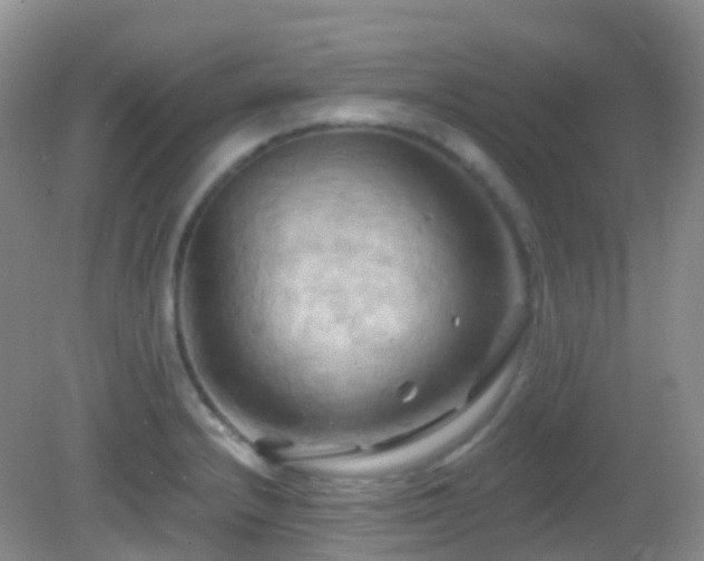 X0000083041232200702021143