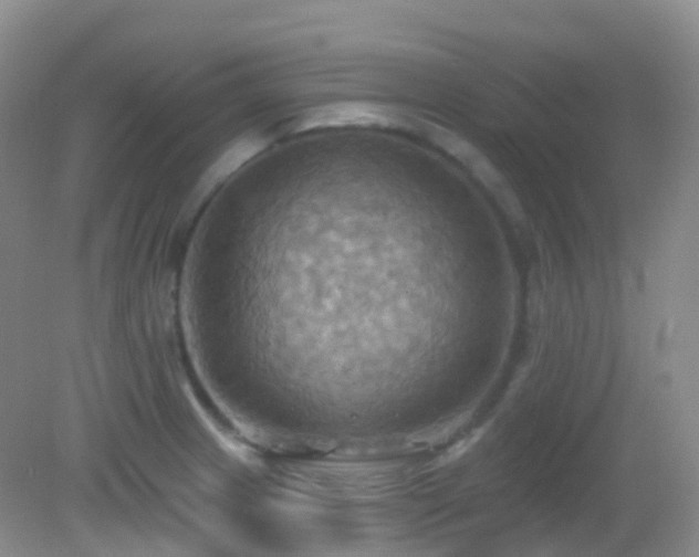 X0000083041233200702021143