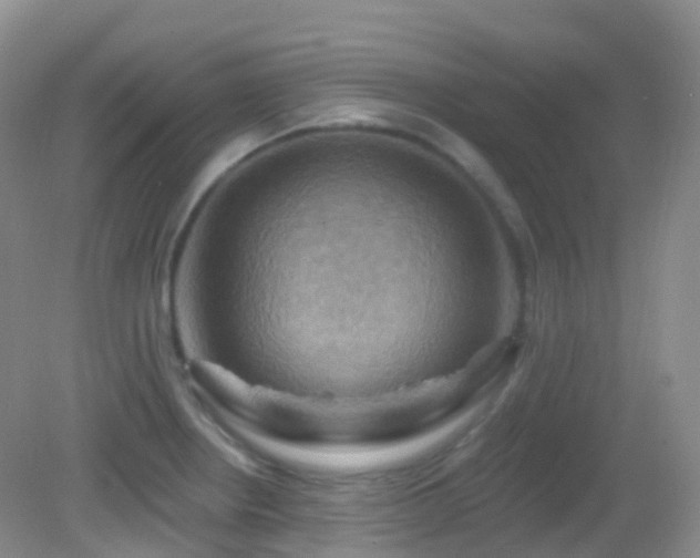 X0000083041234200702021143