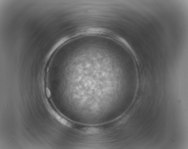 X0000083041235200702021143