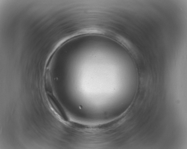 X0000083041236200702021143