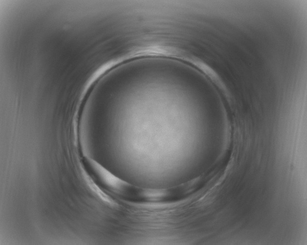 X0000083041238200702021143