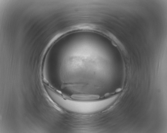 X0000083041240200702021143