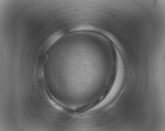 X0000083041241200702021143