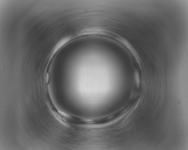 X0000083041242200702021143