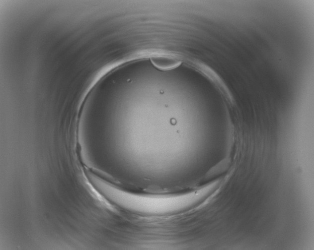 X0000083041244200702021143