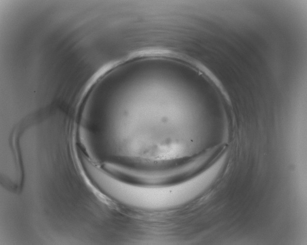 X0000083041245200702021143