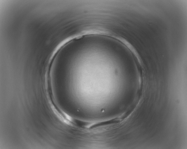 X0000083041246200702021143