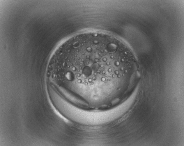 X0000083041247200702021143