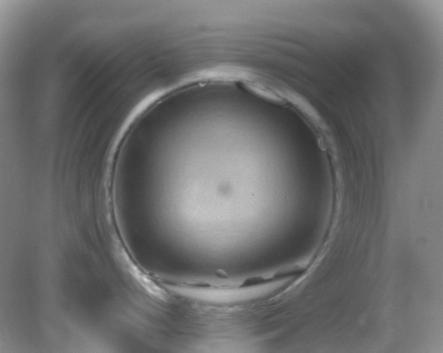 X0000083041248200702021144