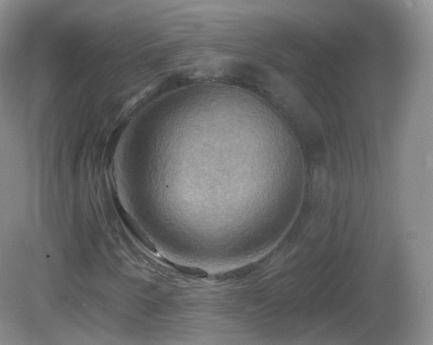 X0000083041250200702021143