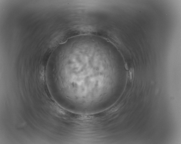 X0000083041251200702021143