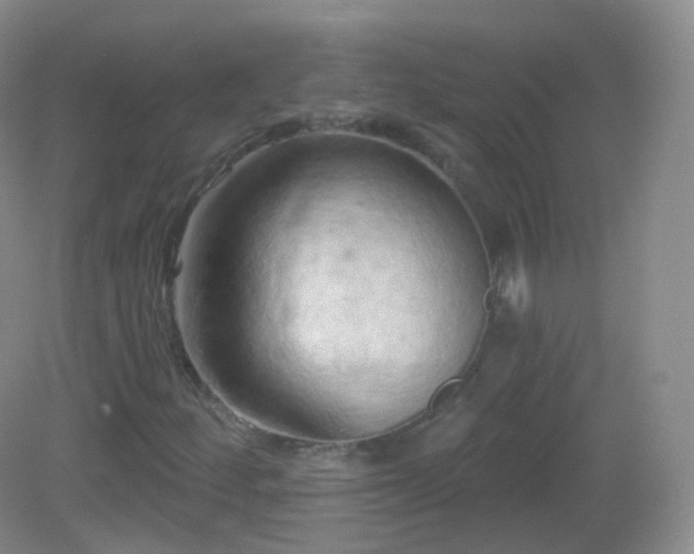 X0000083041252200702021143