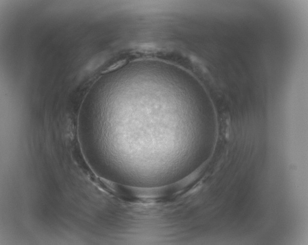 X0000083041253200702021143