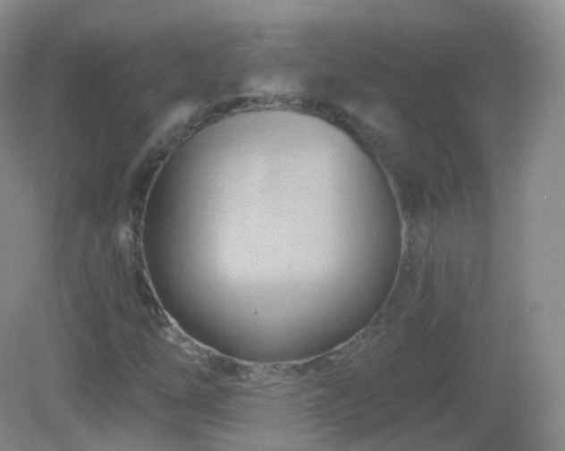 X0000083041254200702021143