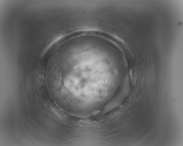 X0000083041255200702021143