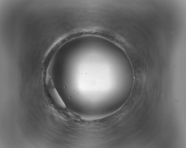 X0000083041256200702021143