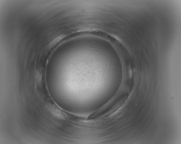 X0000083041257200702021143