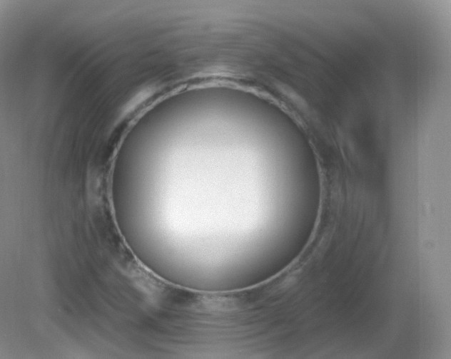 X0000083041258200702021143