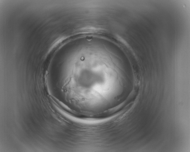 X0000083041259200702021143