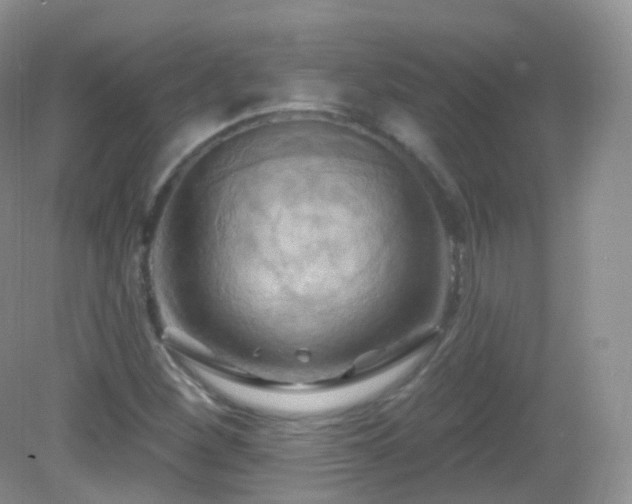 X0000083041260200702021143